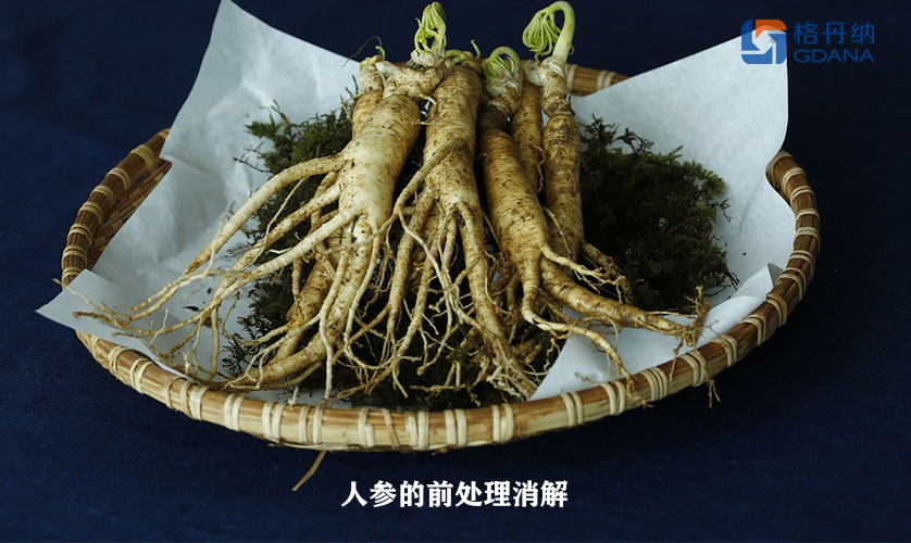 ”傳說“珍寶人參的前處理消解-陶瓷加熱板