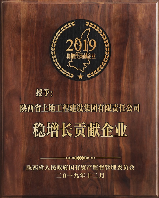 2019年穩(wěn)增長貢獻(xiàn)獎(jiǎng) .jpg