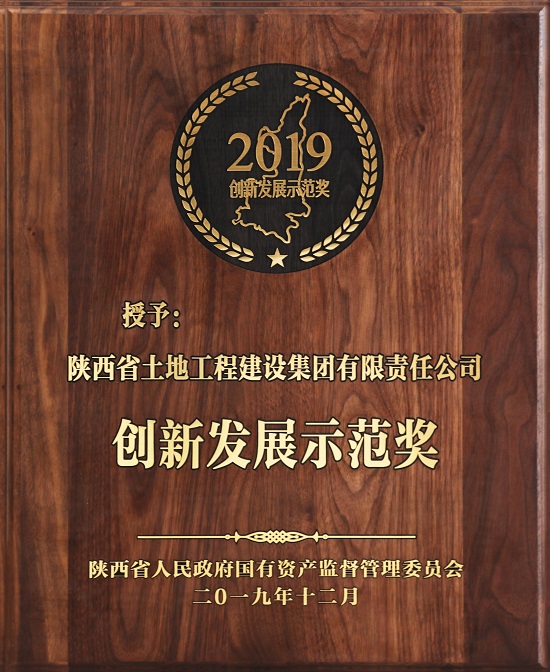 2019年創(chuàng)新發(fā)展示范獎 .jpg