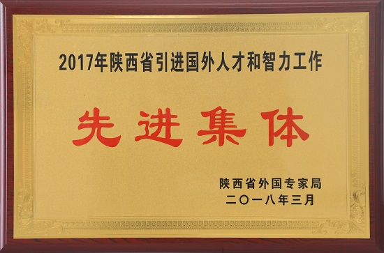 2017年陜西省引進(jìn)國(guó)外人才和智力工作先進(jìn)集體.JPG