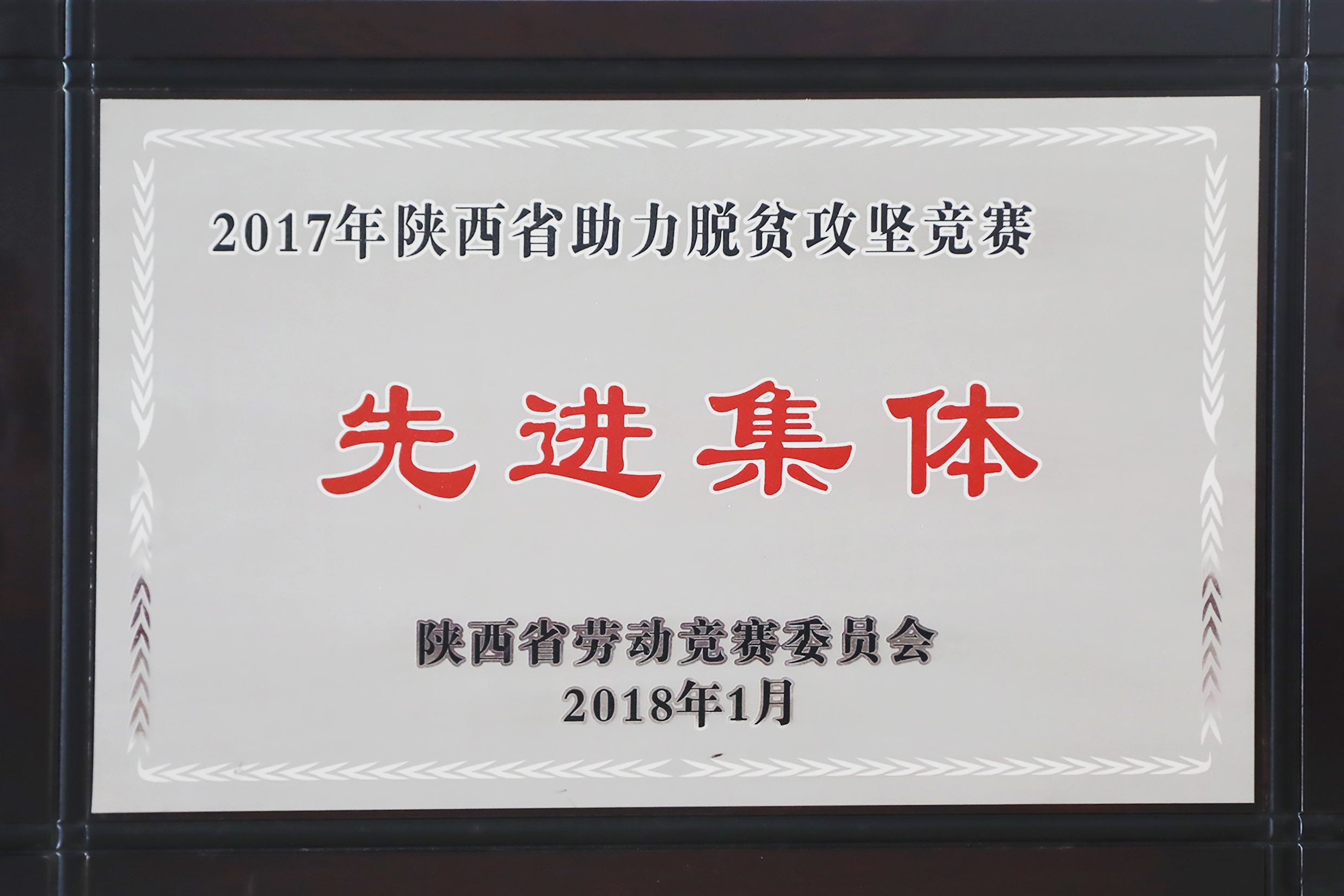 2018.1-2017年陜西省助力脫貧攻堅(jiān)競(jìng)賽先進(jìn)集體.JPG